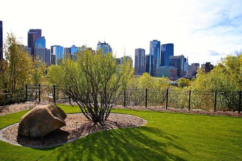 Ornamental Iron Fence Calgary