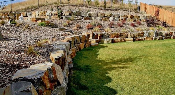 Backyard Transformation