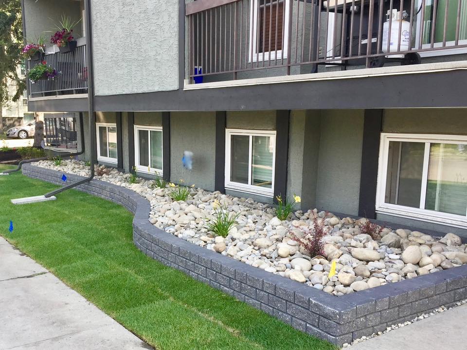 Xeriscaping Paradise